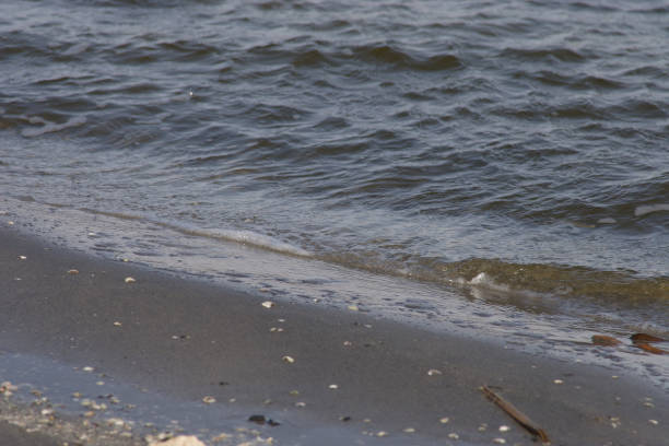 istock Waves of the Lake 957583306