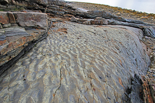 Rock plate sanded off the glacier at Roddenes Nature Reserve, Lakselv, Norway, Scandinavia, Europe