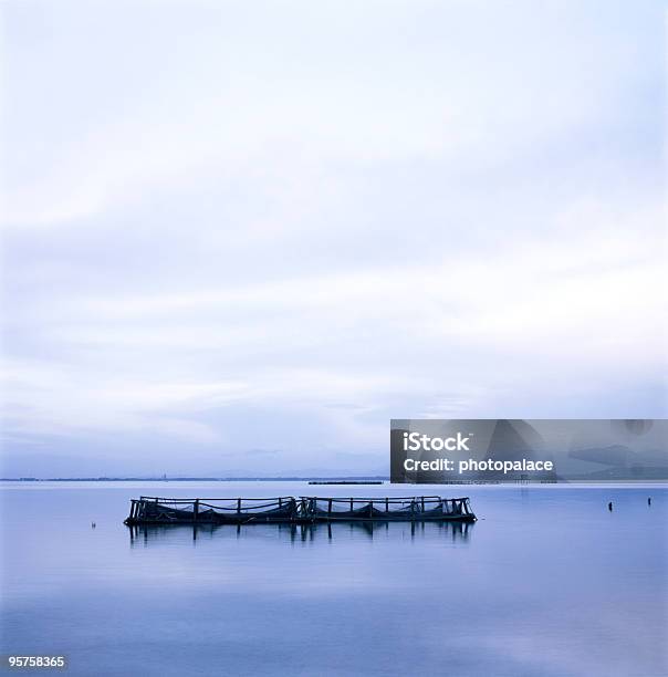 Lagoa Silencioso - Fotografias de stock e mais imagens de Ao Ar Livre - Ao Ar Livre, Aquacultura, Azul