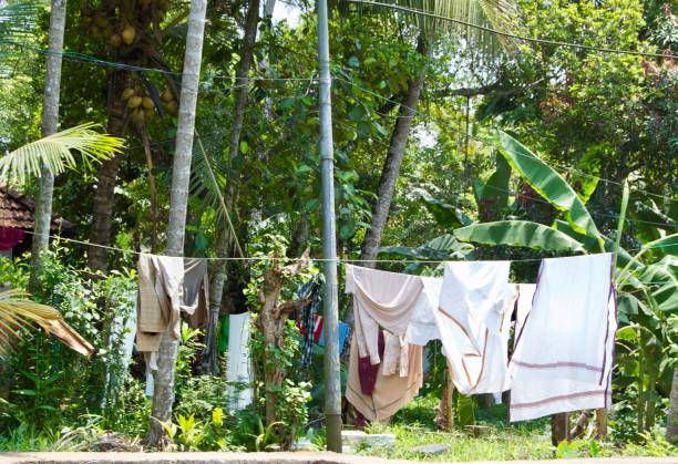 istock Clothesline with freshly washed colorful traditional Indian clothes hanging in the wind on a sunny summer day in the countryside of rural Kerala amidst lush green trees 957584546