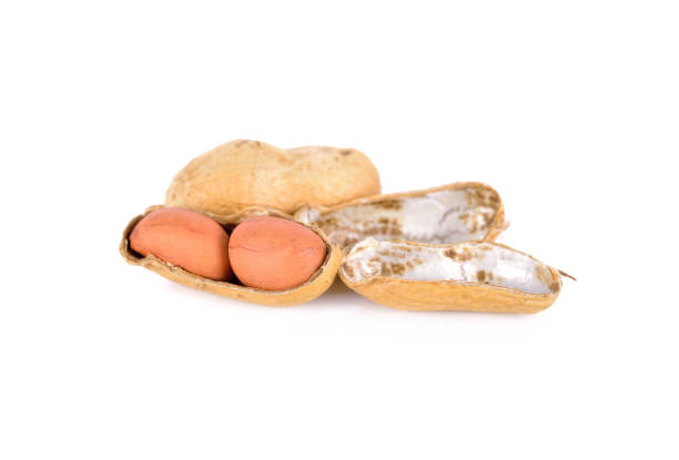 istock whole and peeled roasted peanut on white background 957588214