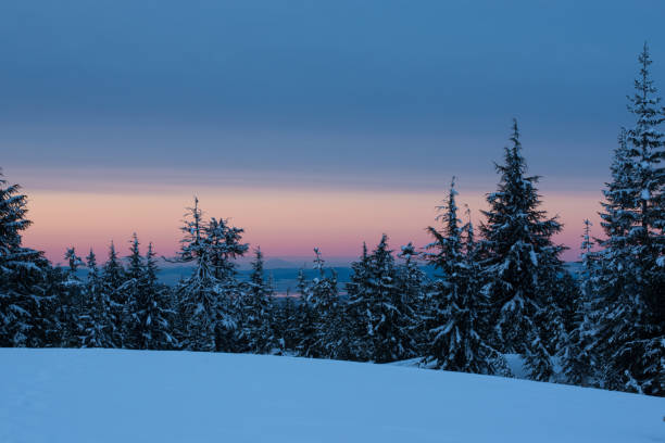 istock Winter in Crater Lake NP 957596260