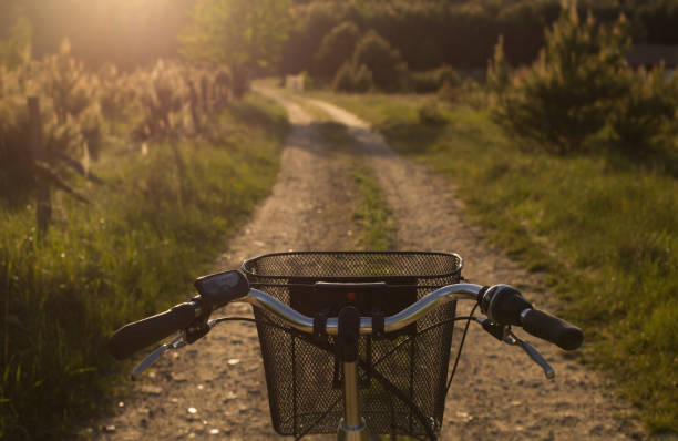 Steering wheel with basket, road.