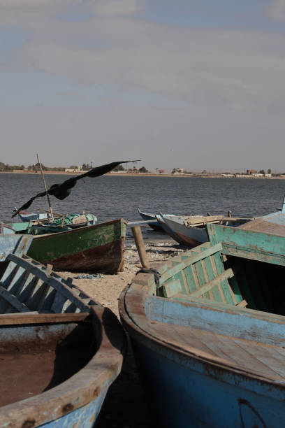 istock Close-up of Boats 957606230