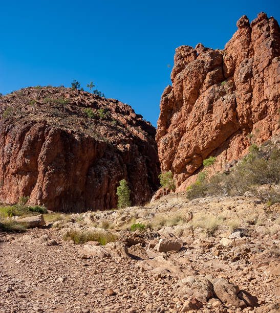 istock Glen Helen Gorge waterhole 957609054