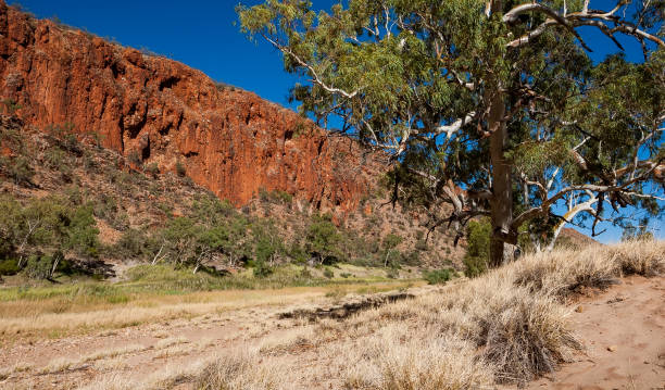 istock Glen Helen Gorge waterhole 957609064