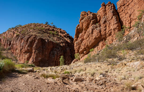 istock Glen Helen Gorge waterhole 957609068