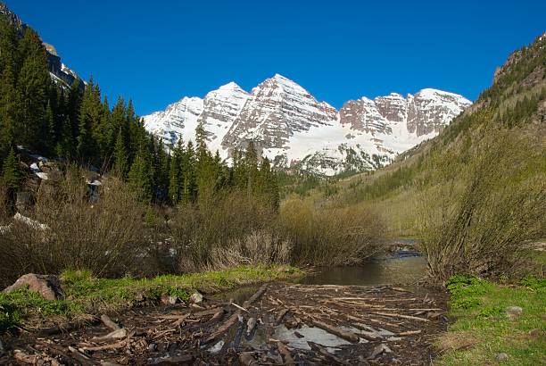istock Beaver Dam in front of Maroon Bells, Colorado 95760919