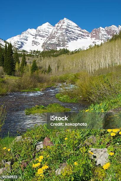 Aspens Maroon Bells And Dandelion Flowers Stock Photo - Download Image Now - Aspen - Colorado, Awe, Bell