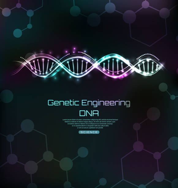 genetischen engeneering vorlage, dna-moleküle spirale, glühende banner - dna helix helix model evolution stock-grafiken, -clipart, -cartoons und -symbole