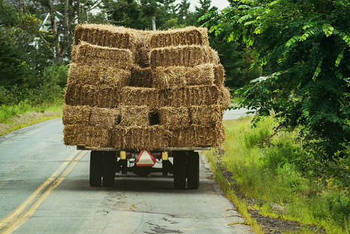 A farmer hauls a trailer stacked with hay in rural Nova Scotia.
