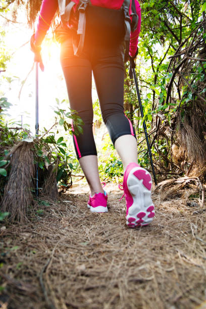istock Woman backpacker hiking in the forest 957615878