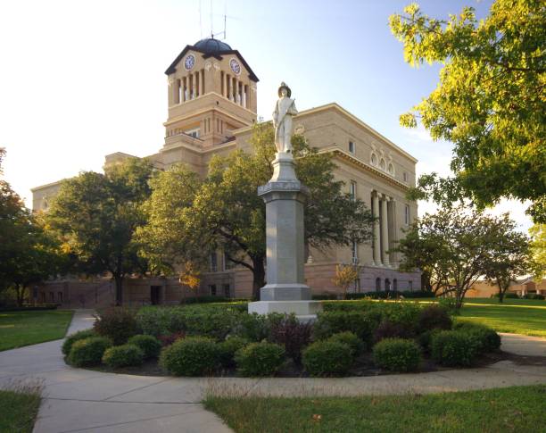 istock Navarro County Courthouse 957621296