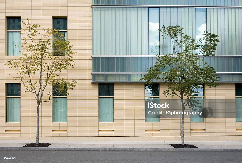 현대적인 건축 퍼사드 in 캠브리지 (보스턴, 나무 - 로열티 프리 거리 스톡 사진