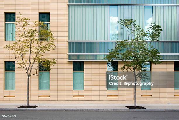 Современный Архитектурный Фасад В Кембридже Бостон С Деревьями — стоковые фотографии и другие картинки Вид спереди