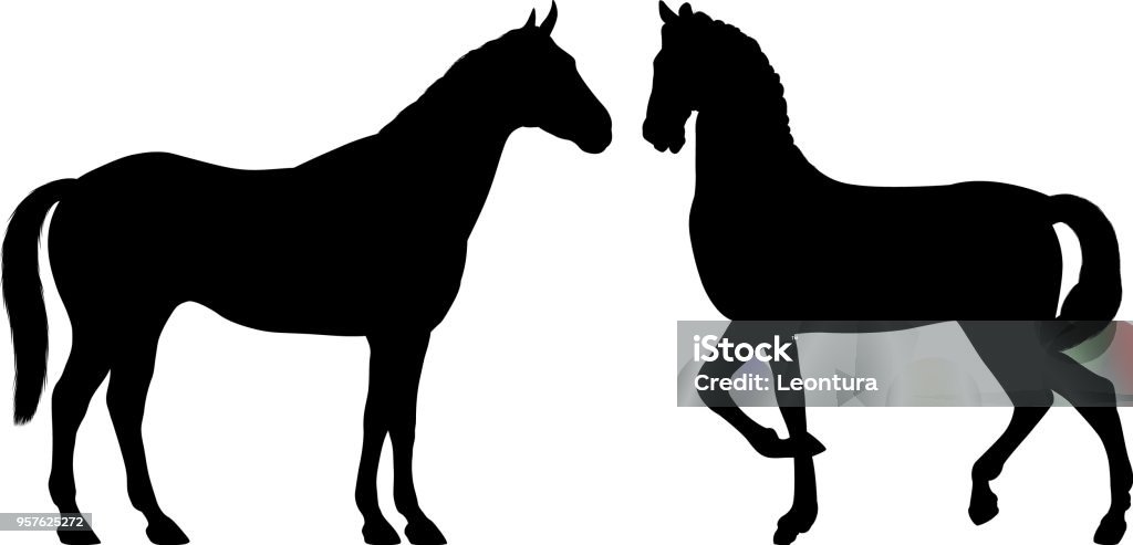 Horses Horses. Horse stock vector