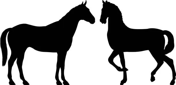 Vector illustration of Horses