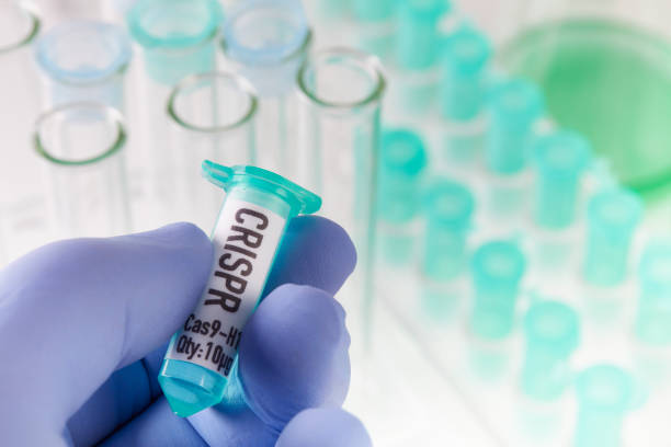 CRISPR research in laboratory Hand holding vial doing CRISPR genomic research crispr photos stock pictures, royalty-free photos & images