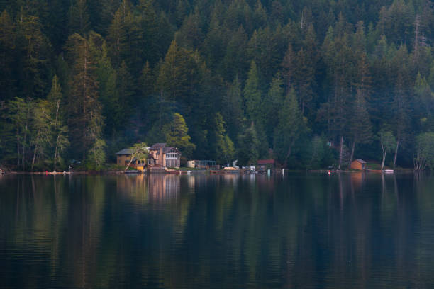 istock Lake Crescent in Olympic National Park, Washington state 957629842