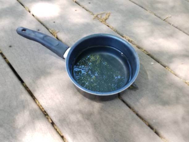 istock a pot of water on a wood deck 957629894
