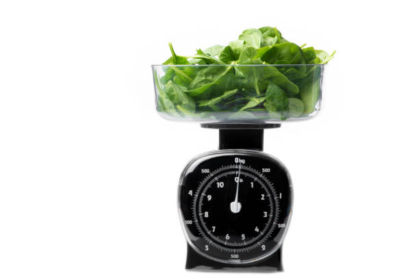 Fresh Spinach Leaf in Scale stock photo