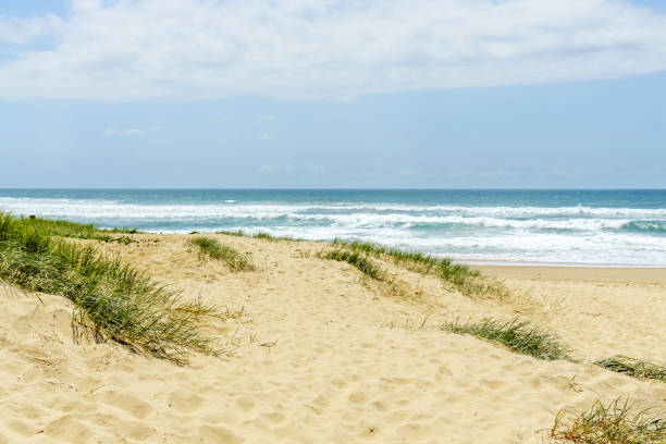 istock Deserted beach on Queensland coastline 957644746