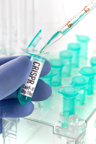 istock CRISPR research in laboratory 957650840