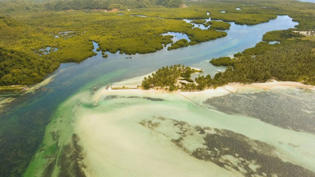 istock Aerial view beautiful beach on a tropical island. Philippines,Siargao 957650982