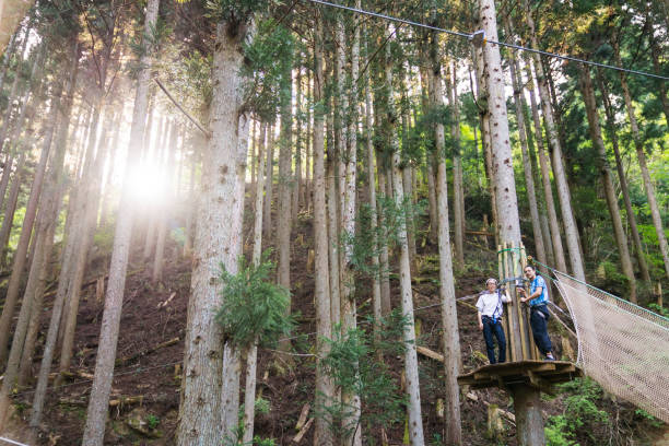 istock Young men in a forest obstacle course wearing harnesses 957654274