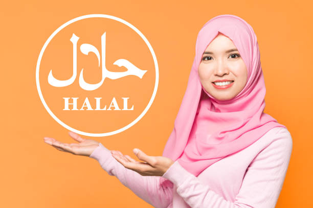 Halal certification concept. Sign of halal food. Halal certification concept. Sign of halal food. halal stock pictures, royalty-free photos & images