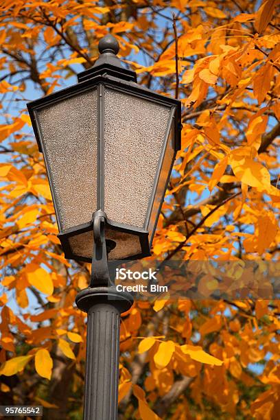 Foto de Outono Street Luminária e mais fotos de stock de Amarelo - Amarelo, Antigo, Botânica - Assunto