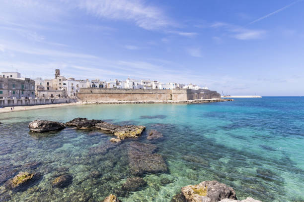 istock Panoramic view of Monopoli italy 957655558