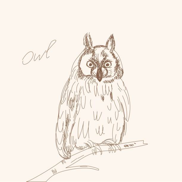 istock Owl on branch on on beige background. Beautiful mysterious bird. Sketch outline illustration. line art. hand drawn. Vector. Doodle art. 957656000