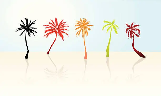 Vector illustration of Palms silhouette