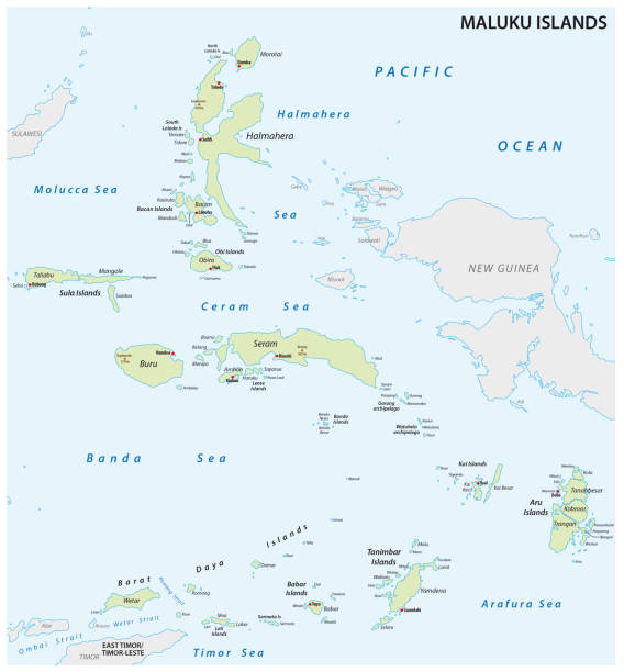 Maluku Islands vector map Maluku Islands vector map. ternate stock illustrations