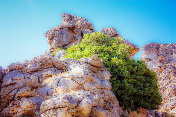 View of the nature and landscape of Crete island