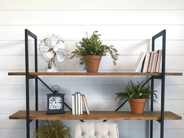 istock Shiplap Bookshelves 957660732