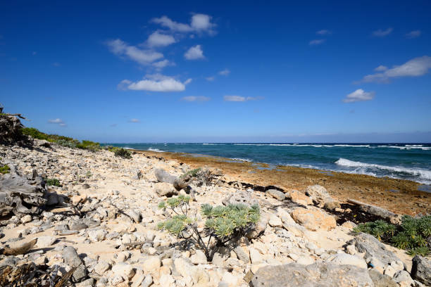 Coral La Herradura beach and turquoise water on the wild coast of Cuba