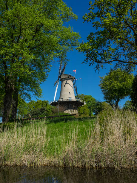 istock Alkmaar in the netherlands 957661290