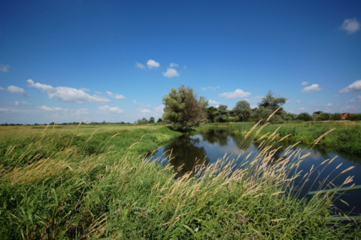 River landscape in the Netherlands