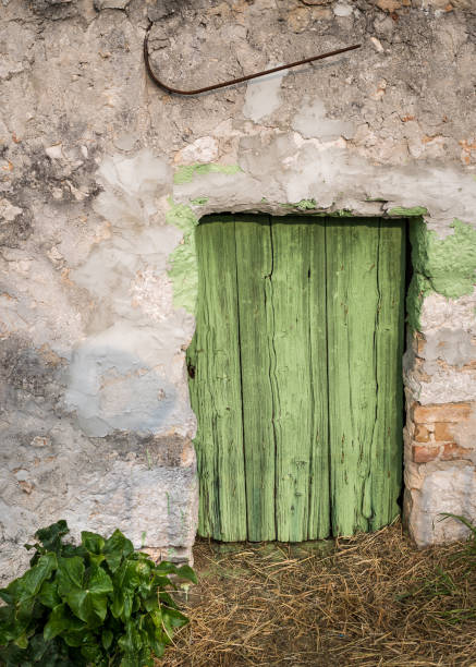 istock Very old weathered small fresh painted green door 957664782