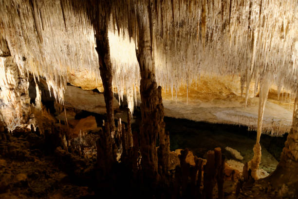 istock Dragon Caves in Palma de Malorca 957669536