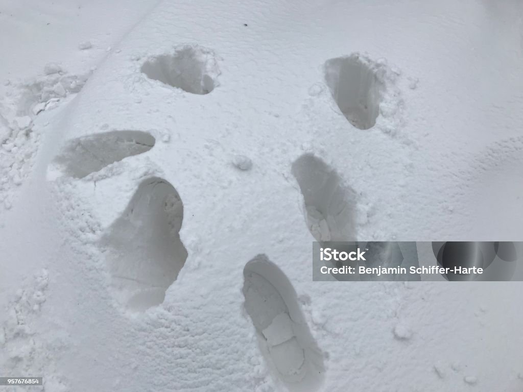 Footprints in the snow Whilst on a family day out geocaching, my wife and I trod in some heavily deep snow. Color Image Stock Photo