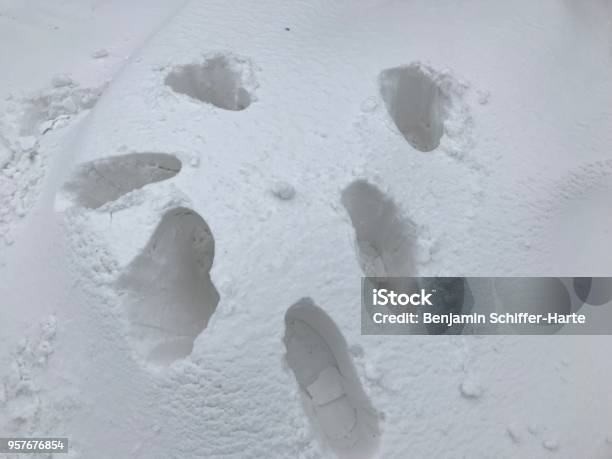 Footprints In The Snow Stock Photo - Download Image Now - Color Image, Footprint, Horizontal