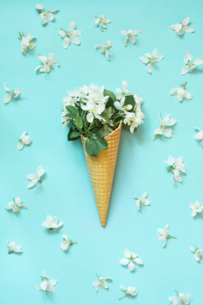 istock Creative still life of white spring flower in waffle cone on blue background. Spring concept. Top view. 957679556