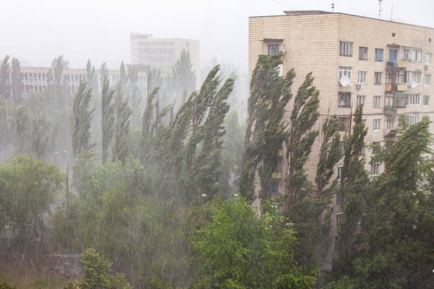 istock Summer pouring rain in the city 957685588