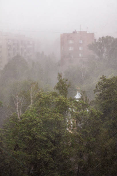 istock Summer pouring rain in the city 957686506