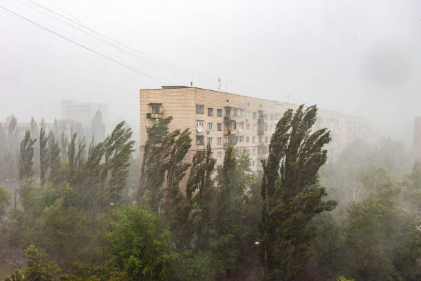 Summer pouring rain in the city