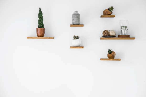 Empty interior with copy space Cacti on wooden shelves in empty interior with copy space on white wall shelf stock pictures, royalty-free photos & images