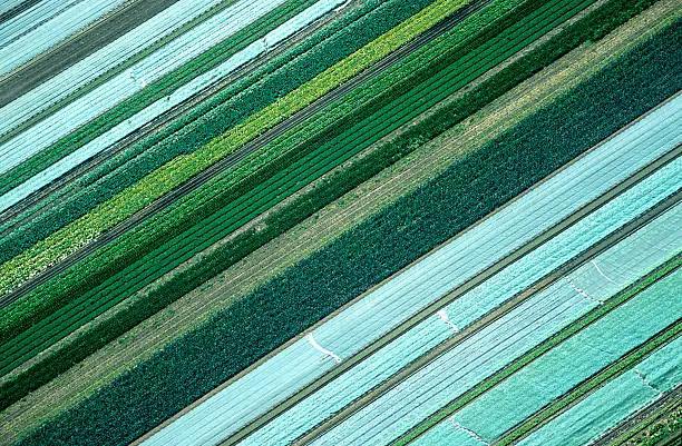 Photo of Aerial View of Agricultural Landscape